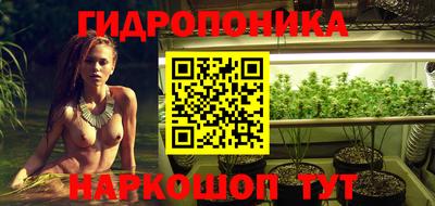 ECSTASY Вышний Волочёк