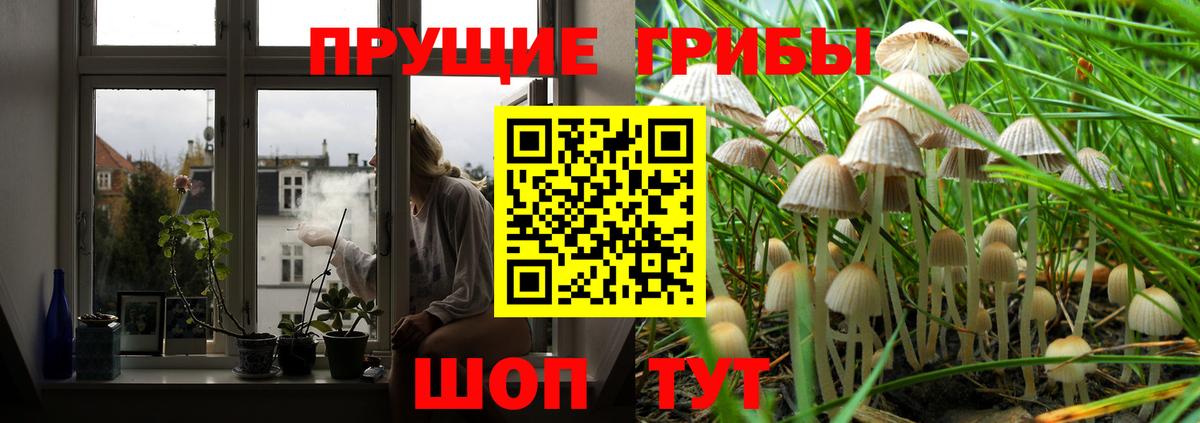 Белгород  Галлюциногенные грибы ЛСД  Вход с VPN  Псилоцибиновые грибы мицелий 